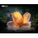 U55QM10 CHIQ 55 INCH 4K QLED Google TV 